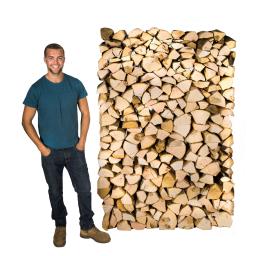 standard-10-kiln-dried-logs-1-p.jpg
